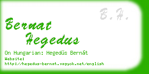 bernat hegedus business card